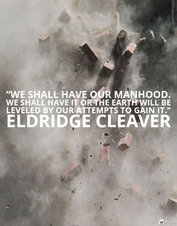 We shall have our manhood. We shall have it or the earth will be leveled by our attempts to gain it.
