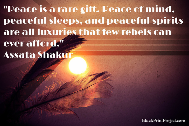 Peace is a rare gift. Peace of mind, peaceful sleeps, and peaceful spirits are all luxuries that few rebels can ever afford.~  Assata Shakur