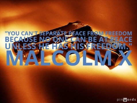 You can't separate peace from freedom because no one can be at peace unless he has his freedom.  Malcolm X