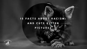 15 Facts About Racism; and Cute Kitten Pictures